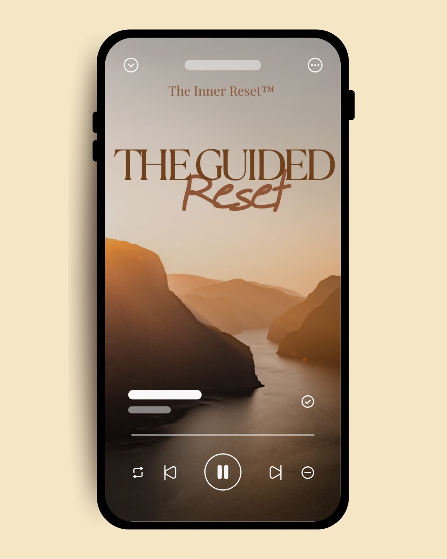 The Guided Reset (MP3)
